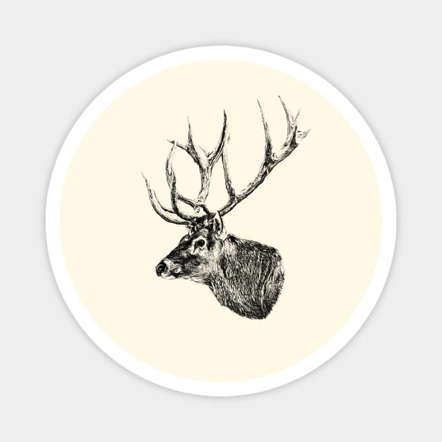 Deer portrait Magnet by Guardi